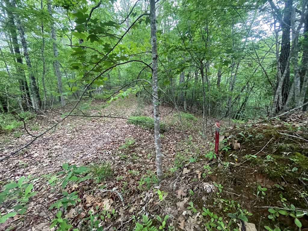 5 and 6B Mcgaha Rd