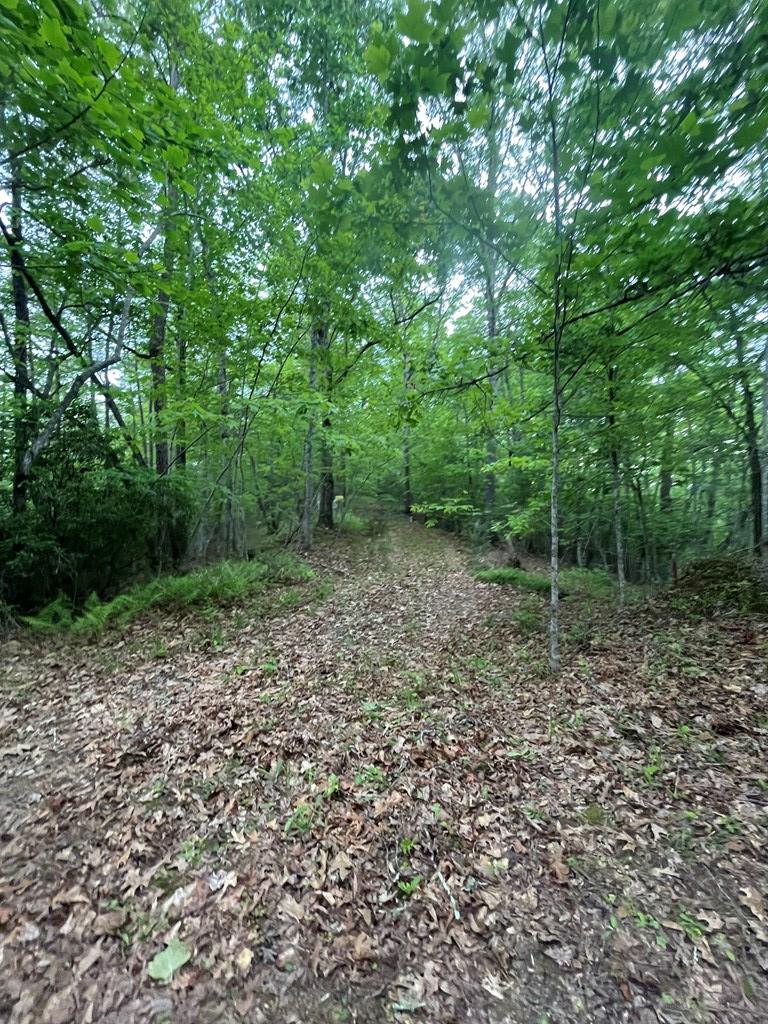 5 and 6B Mcgaha Rd
