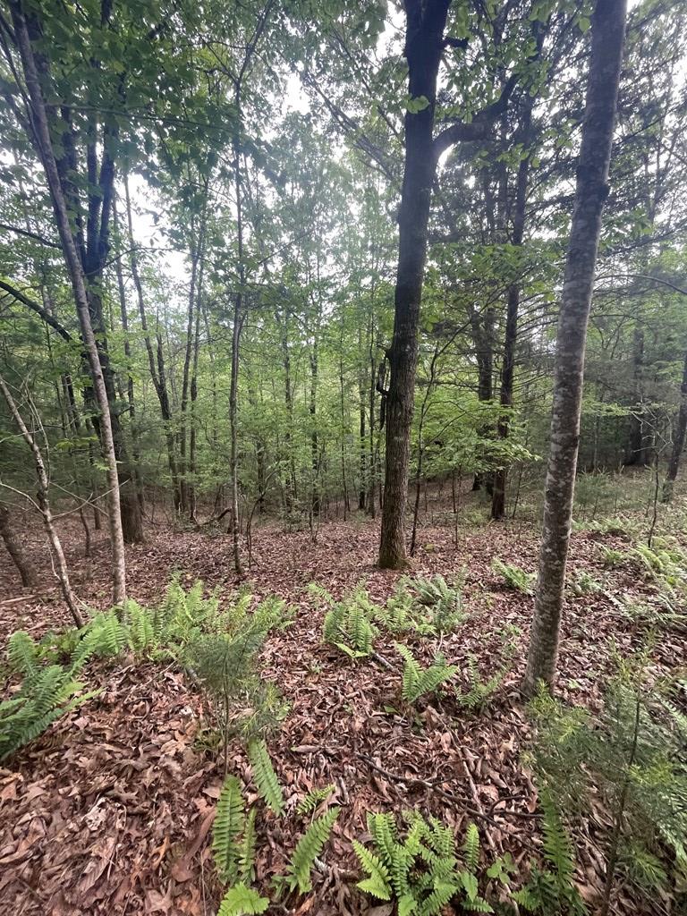 5 and 6B Mcgaha Rd