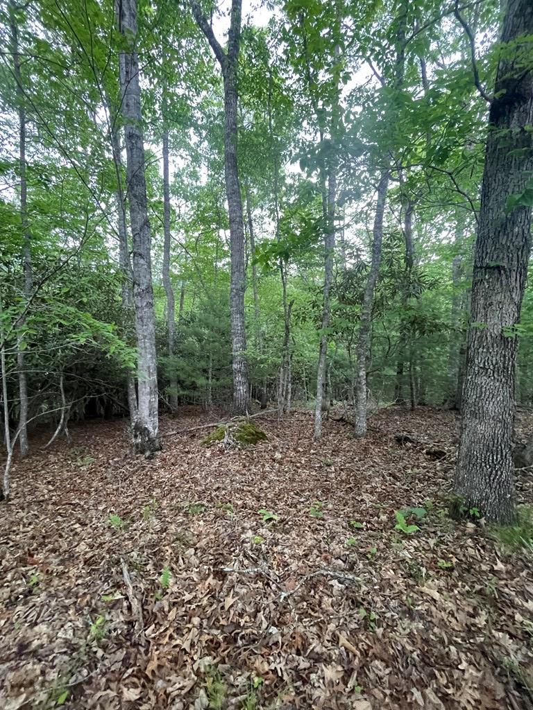 5 and 6B Mcgaha Rd
