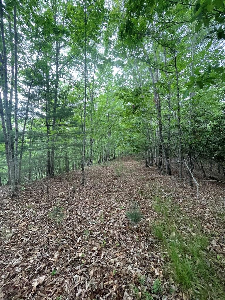 5 and 6B Mcgaha Rd
