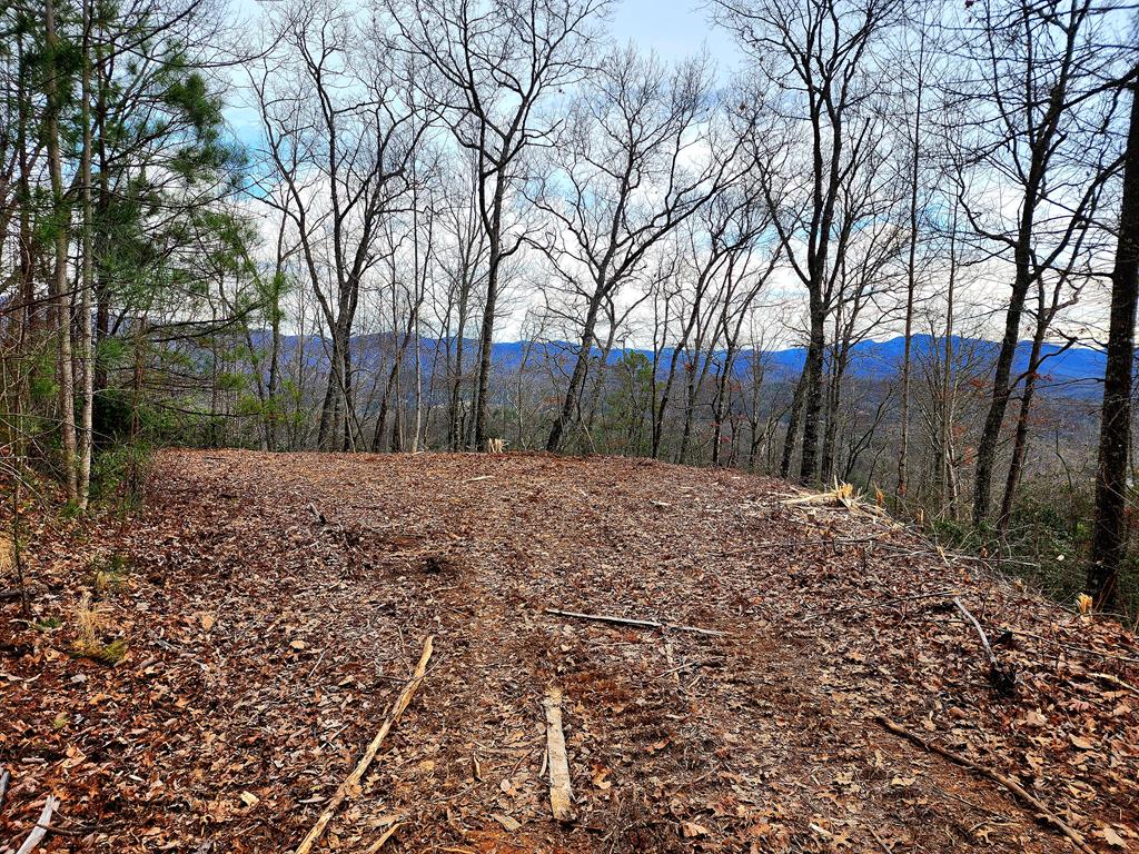 00 Buck Mountain Road