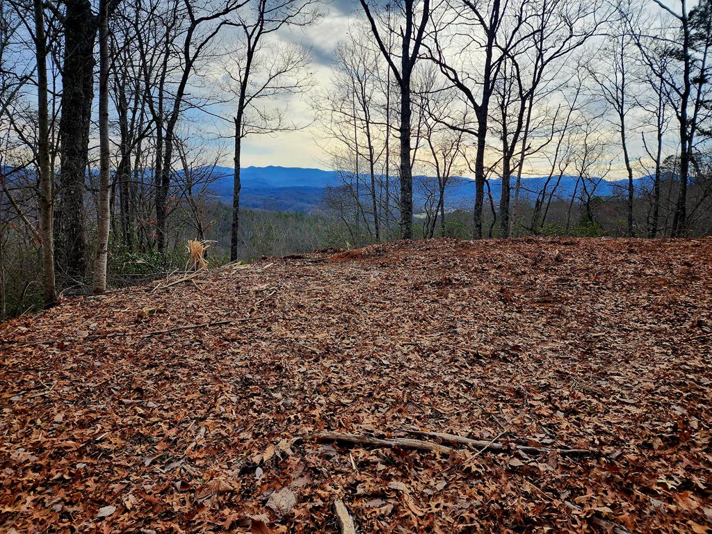 00 Buck Mountain Road