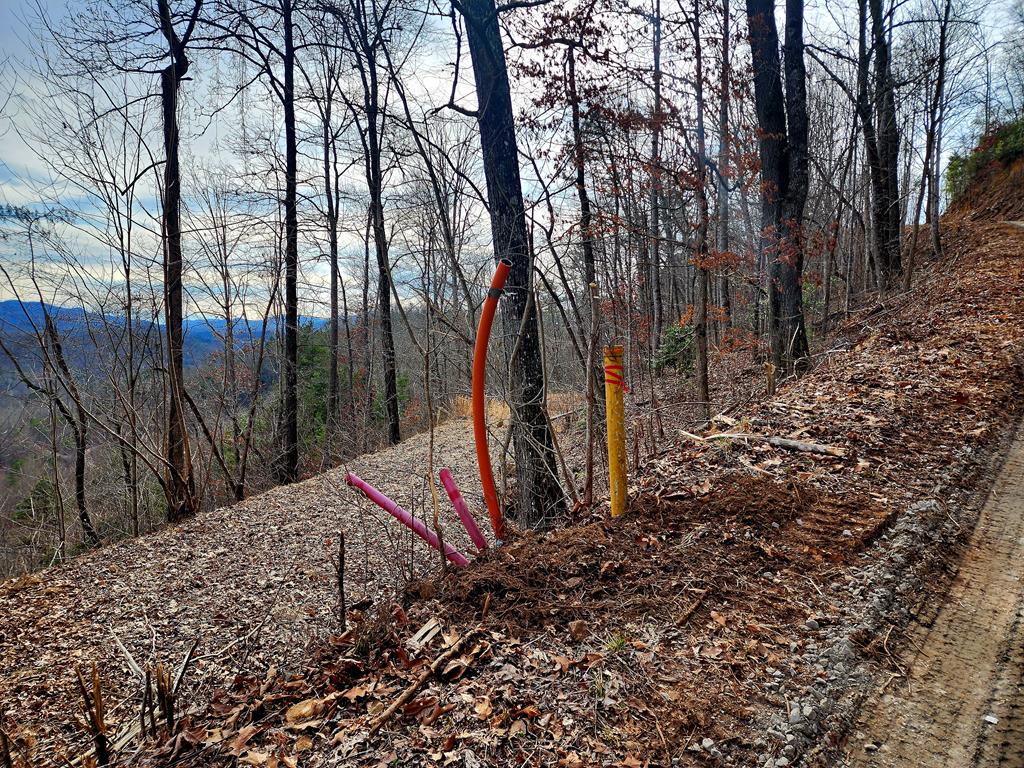 00 Buck Mountain Road
