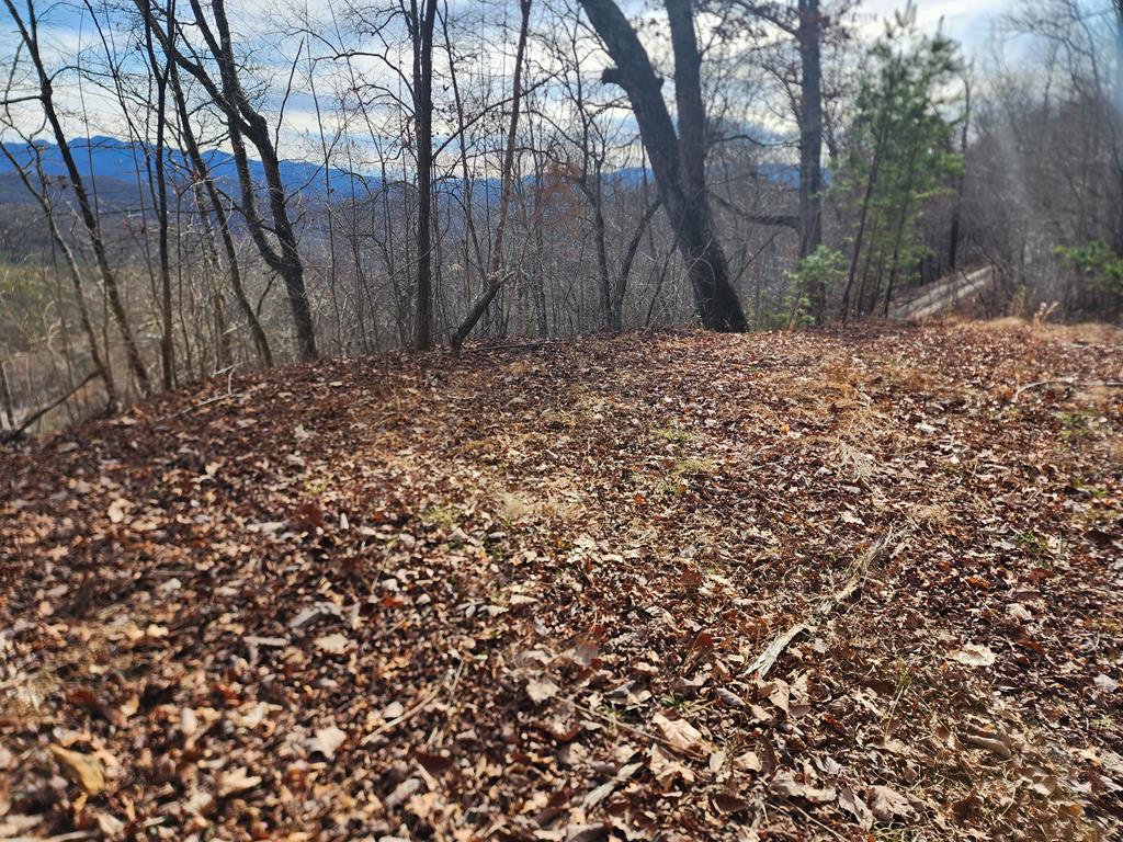 00 Buck Mountain Road