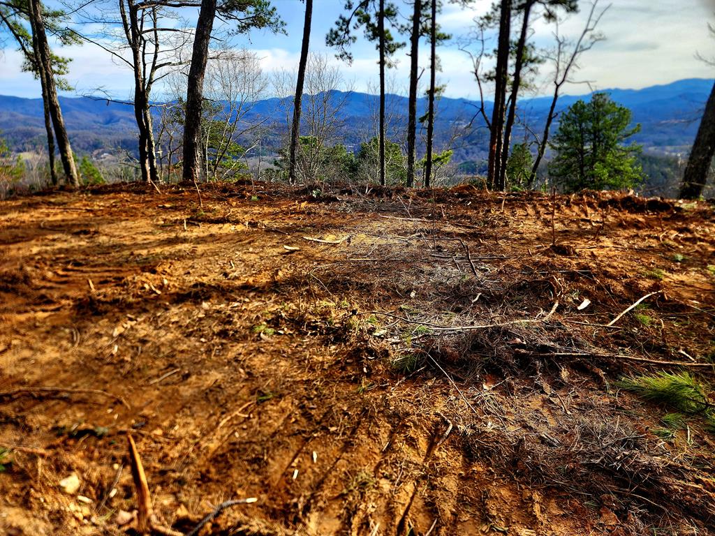 00 Buck Mountain Road