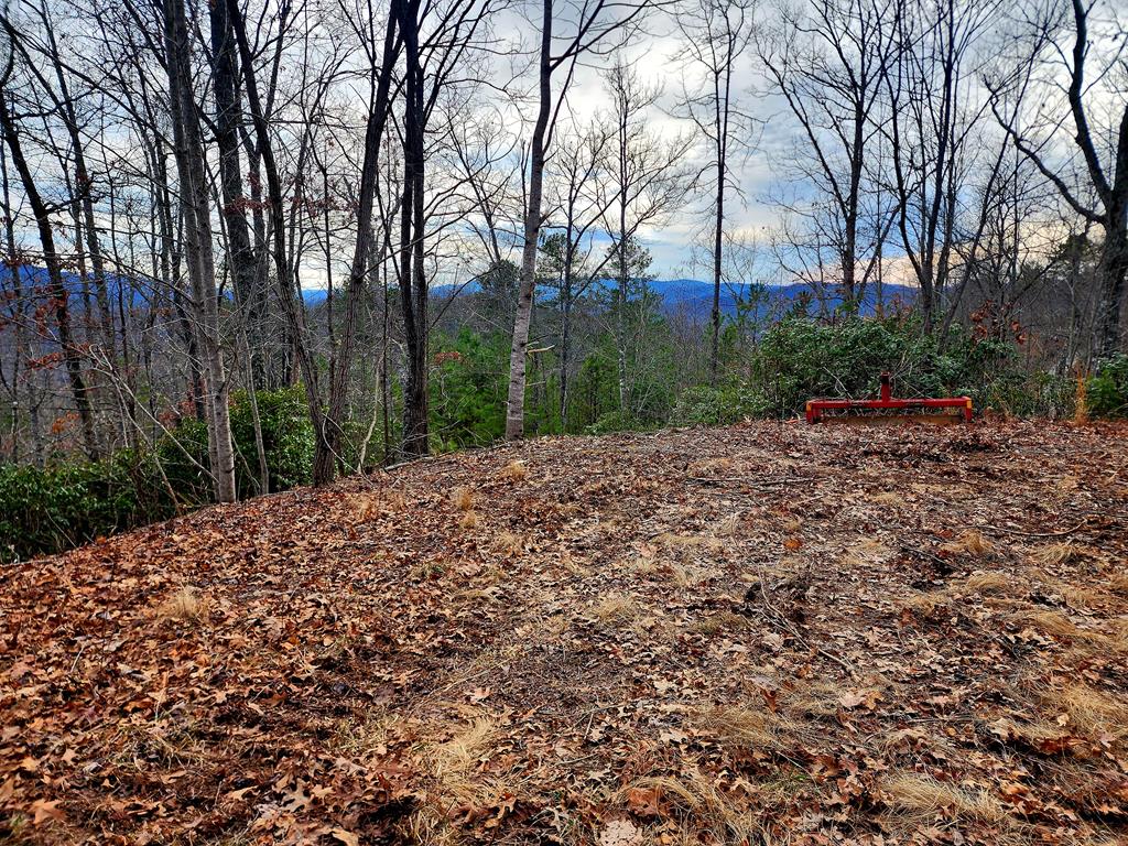 00 Buck Mountain Road