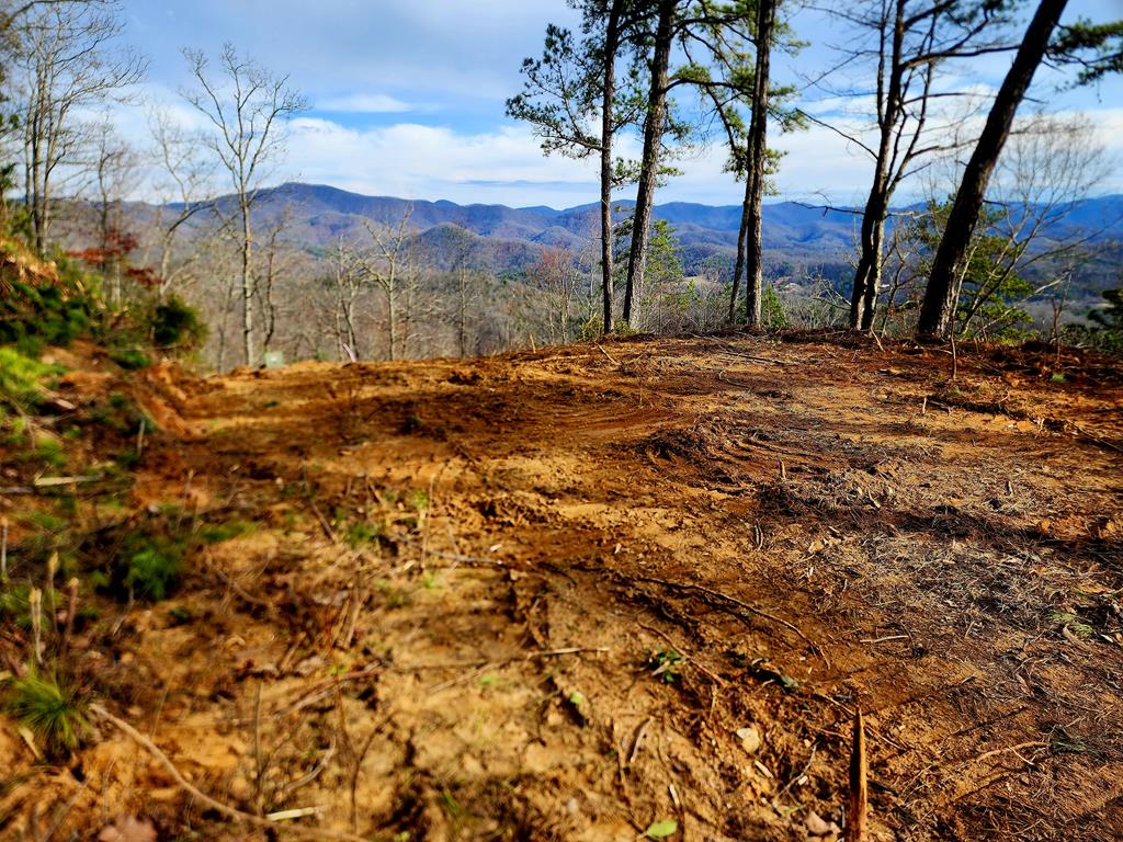 00 Buck Mountain Road