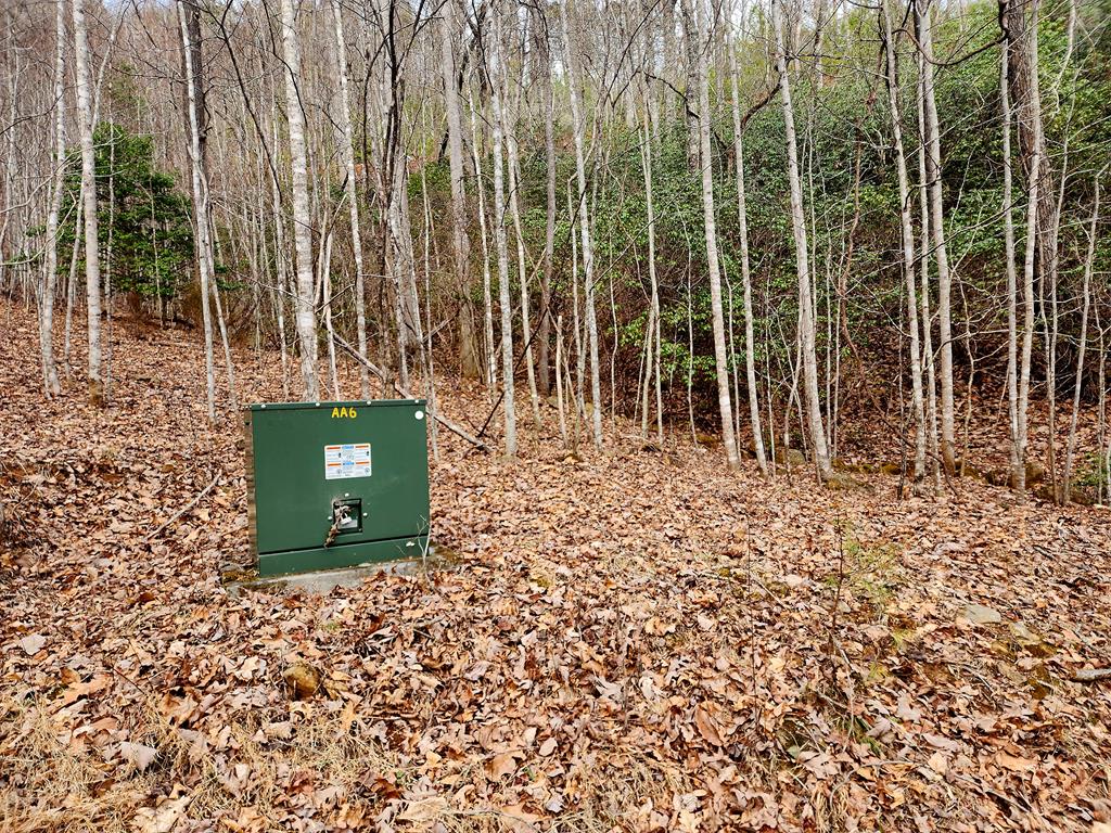 00 Buck Mountain Road