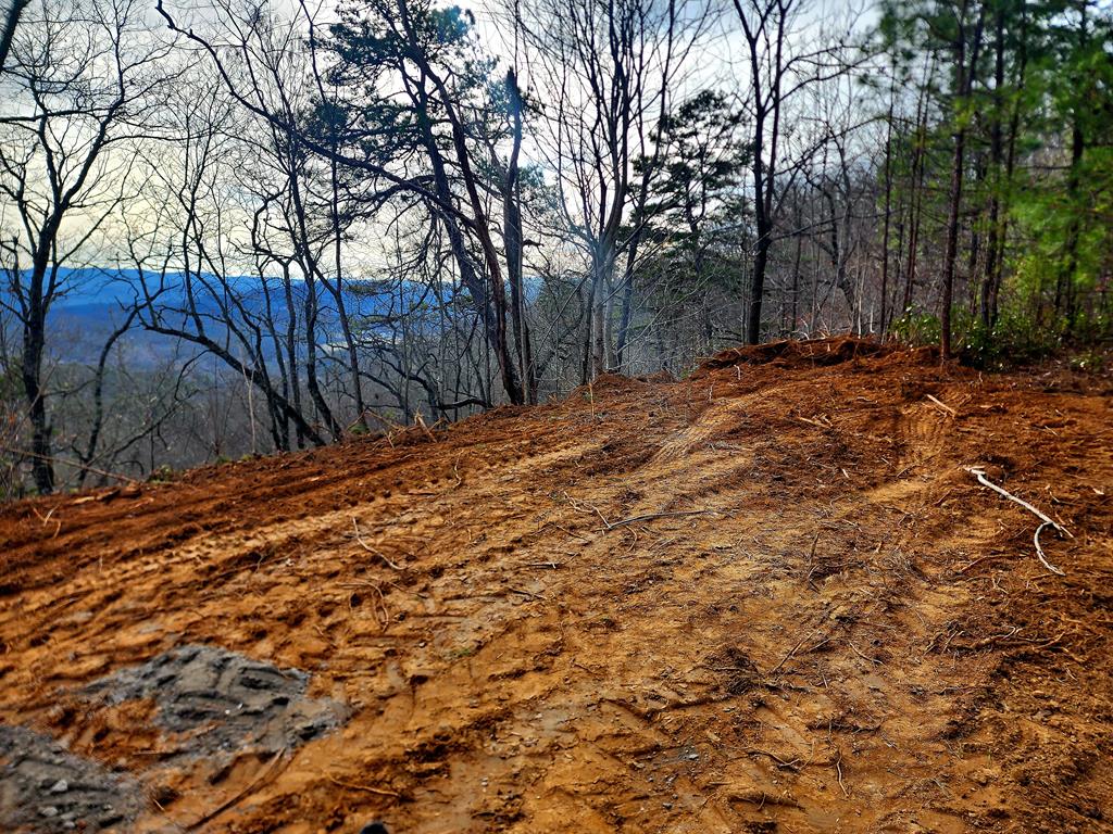 00 Buck Mountain Road