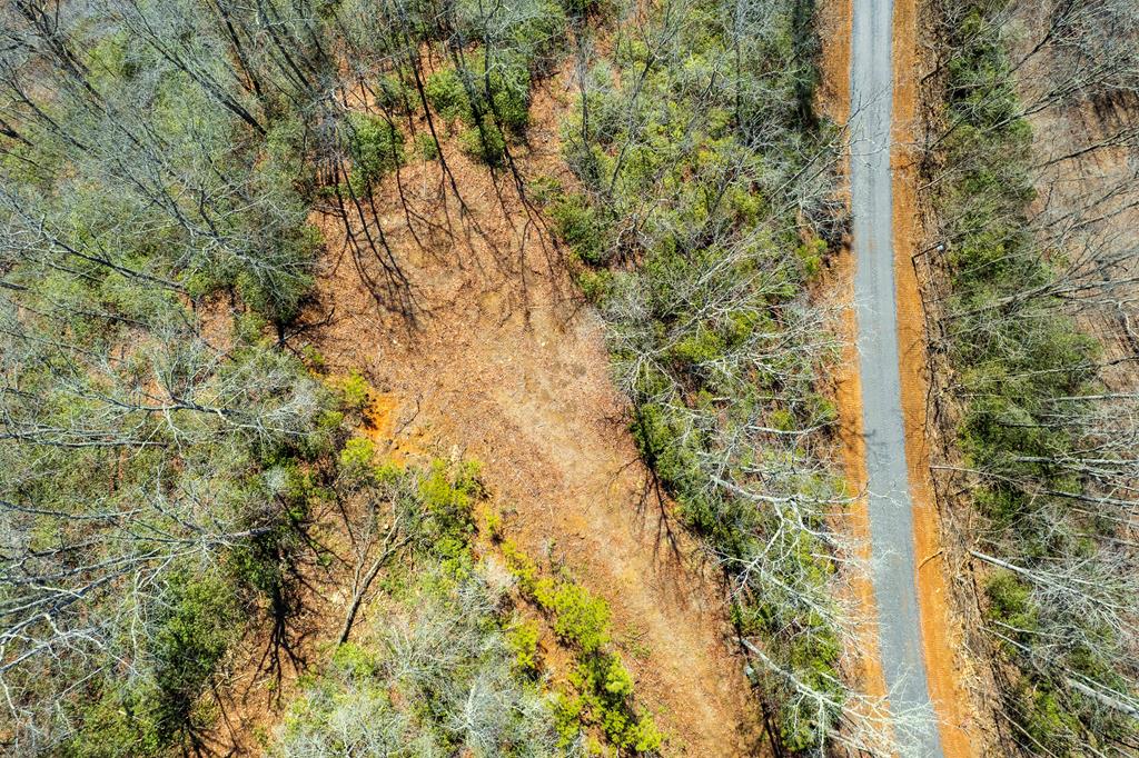 00 Buck Mountain Road