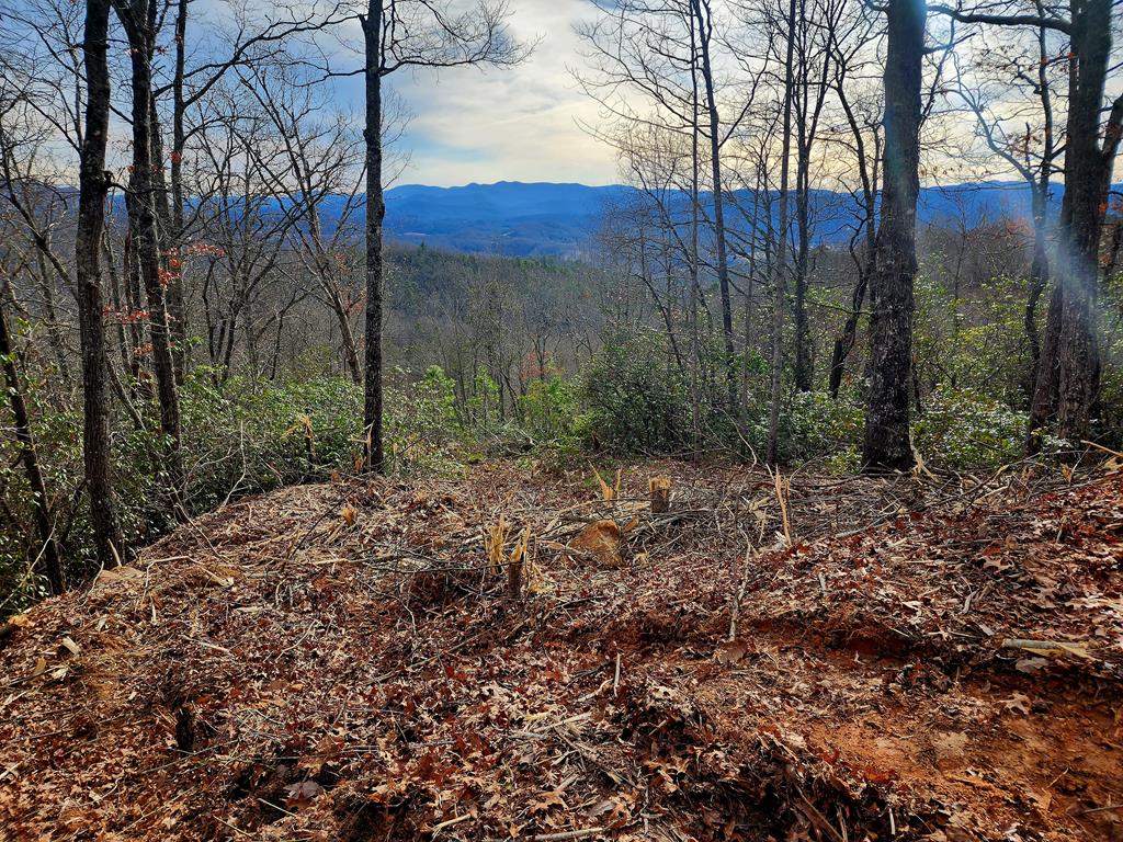 00 Buck Mountain Road