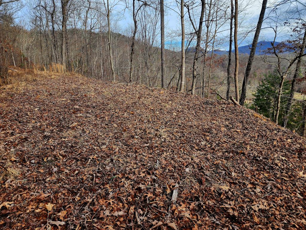 00 Buck Mountain Road