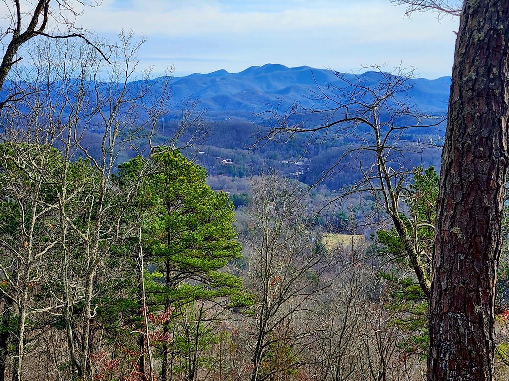 00 Buck Mountain Road