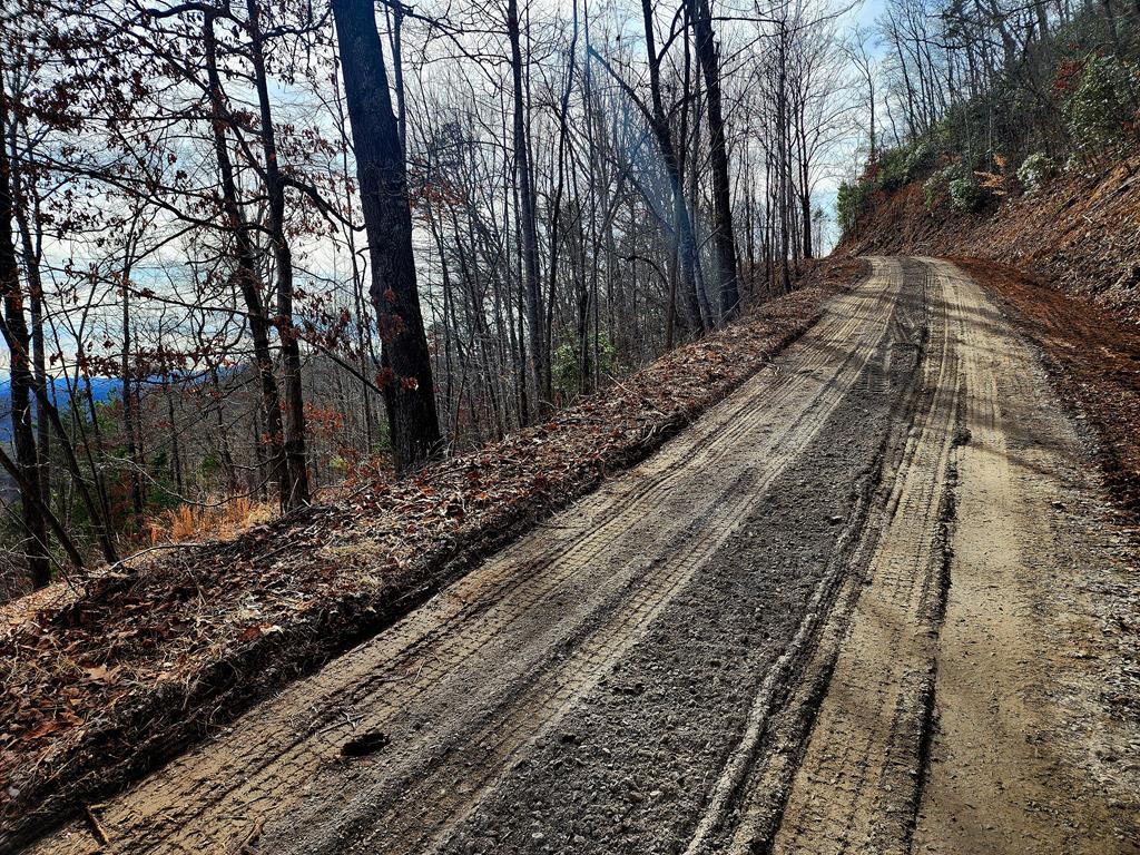 00 Buck Mountain Road