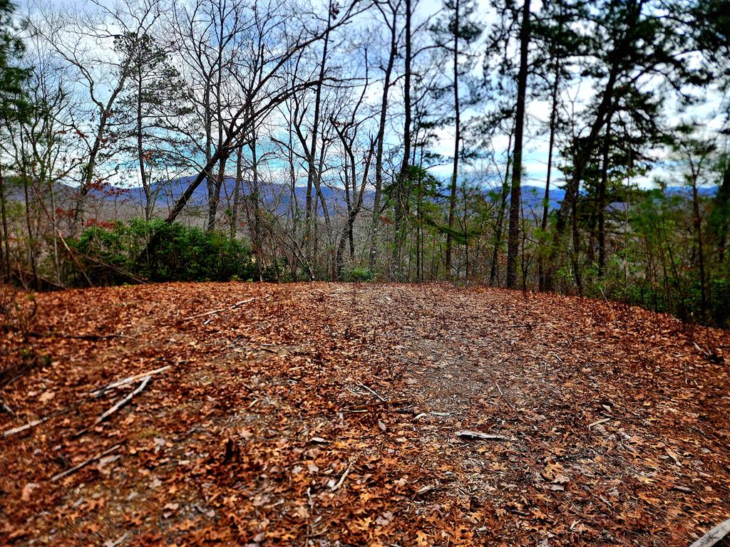 00 Buck Mountain Road