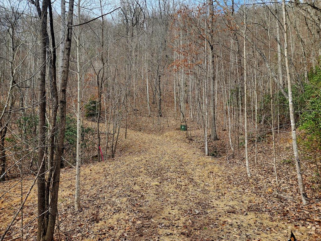 00 Buck Mountain Road