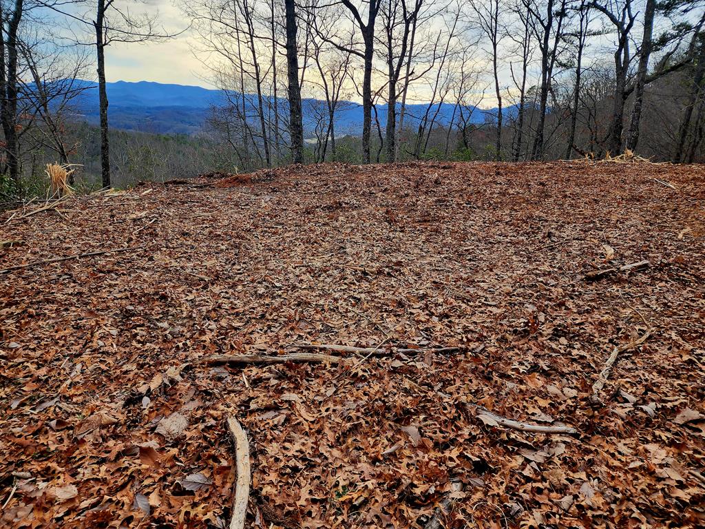 00 Buck Mountain Road