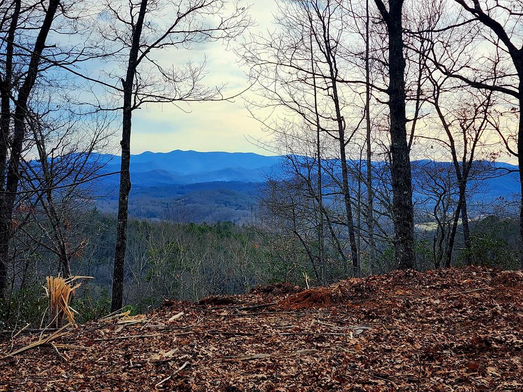 00 Buck Mountain Road