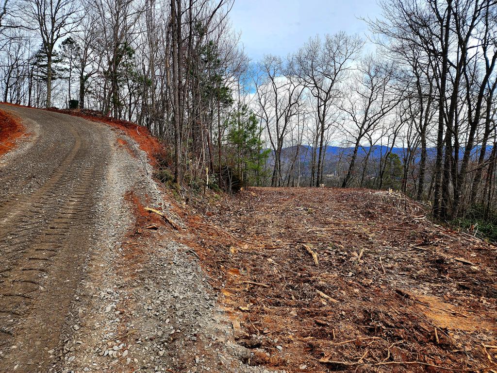 00 Buck Mountain Road