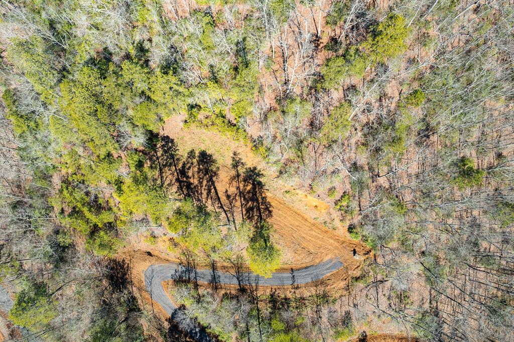 00 Buck Mountain Road