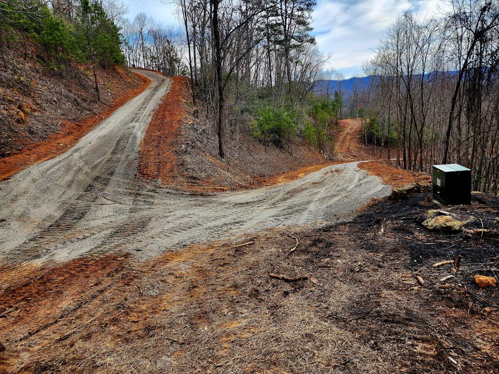 00 Buck Mountain Road