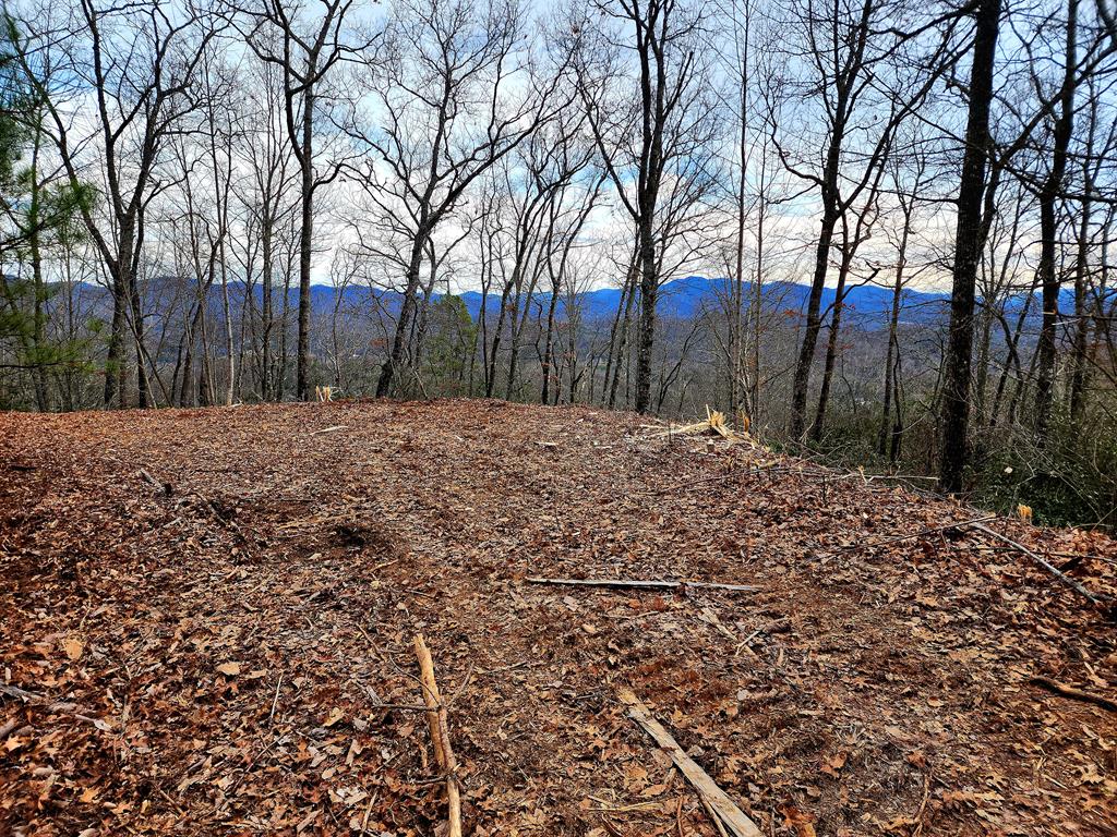 00 Buck Mountain Road