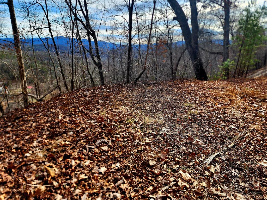 00 Buck Mountain Road