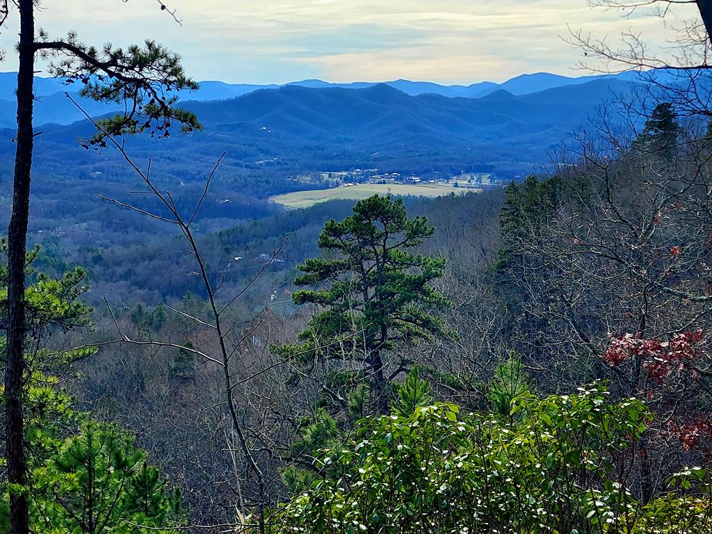 00 Buck Mountain Road