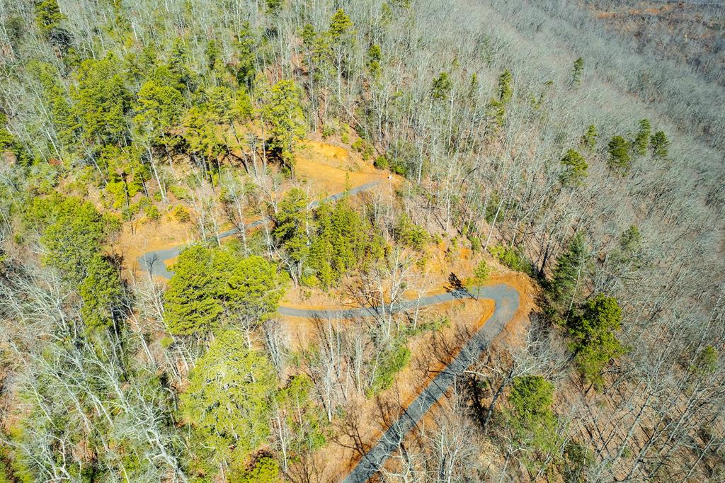 00 Buck Mountain Road