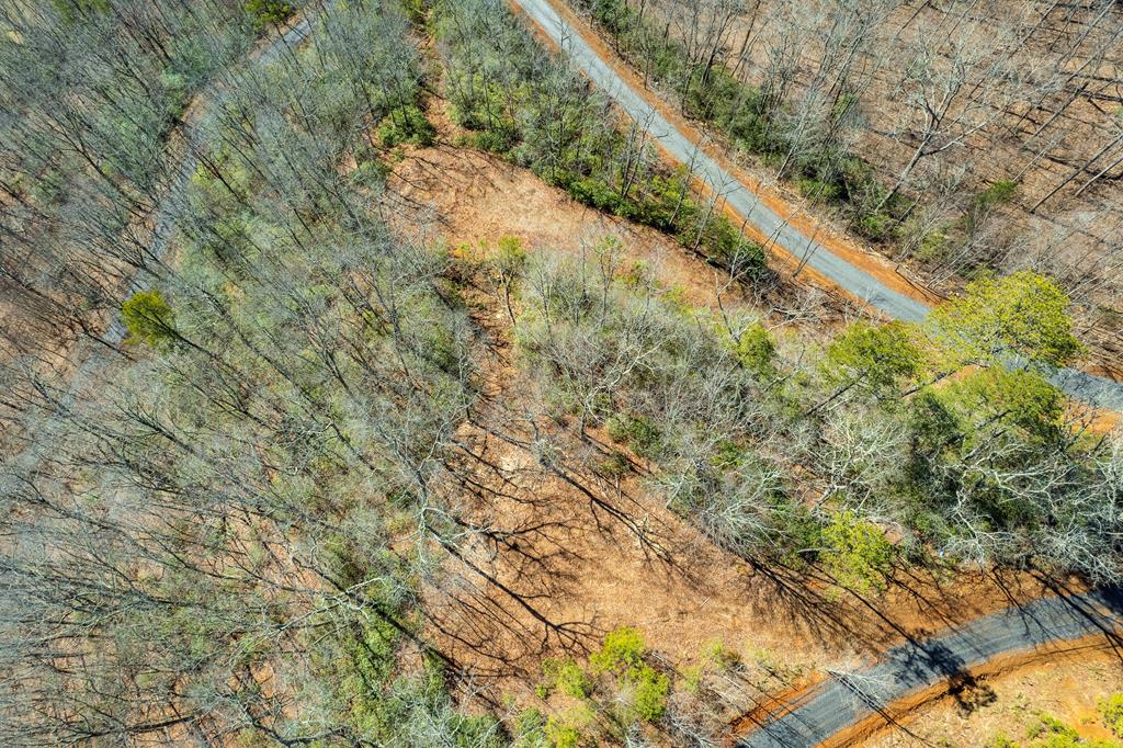 00 Buck Mountain Road