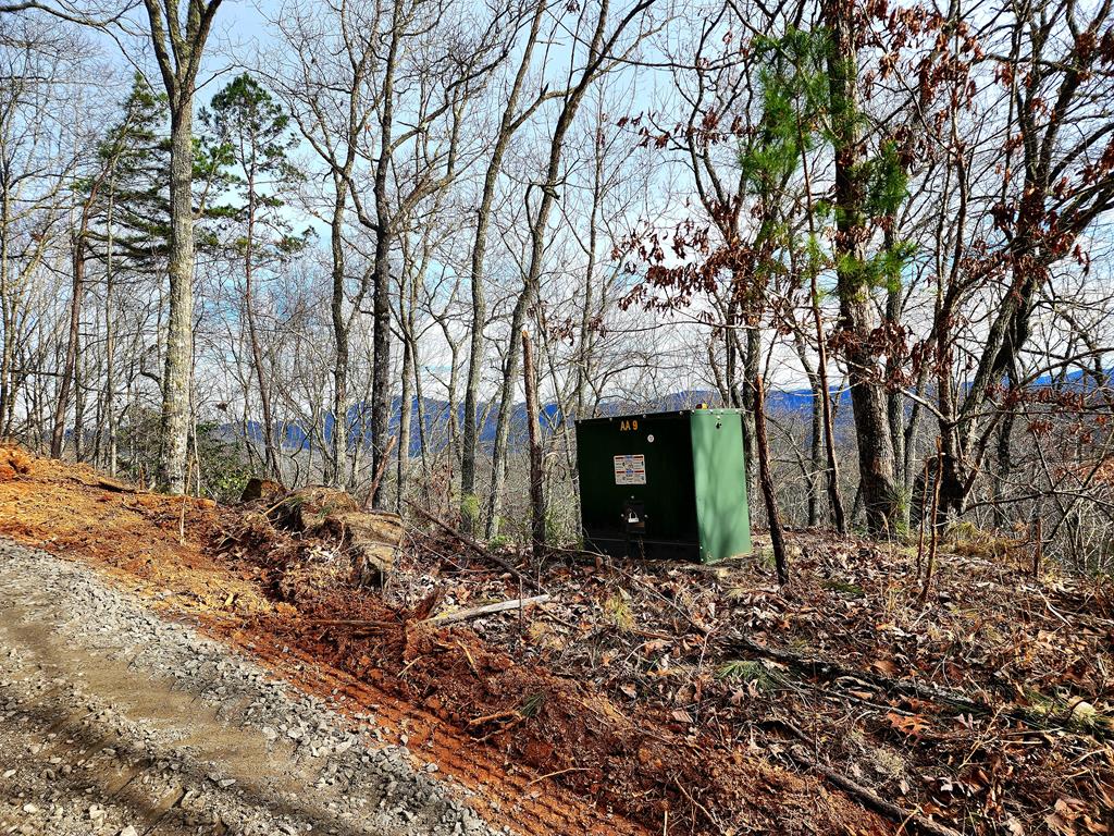 00 Buck Mountain Road