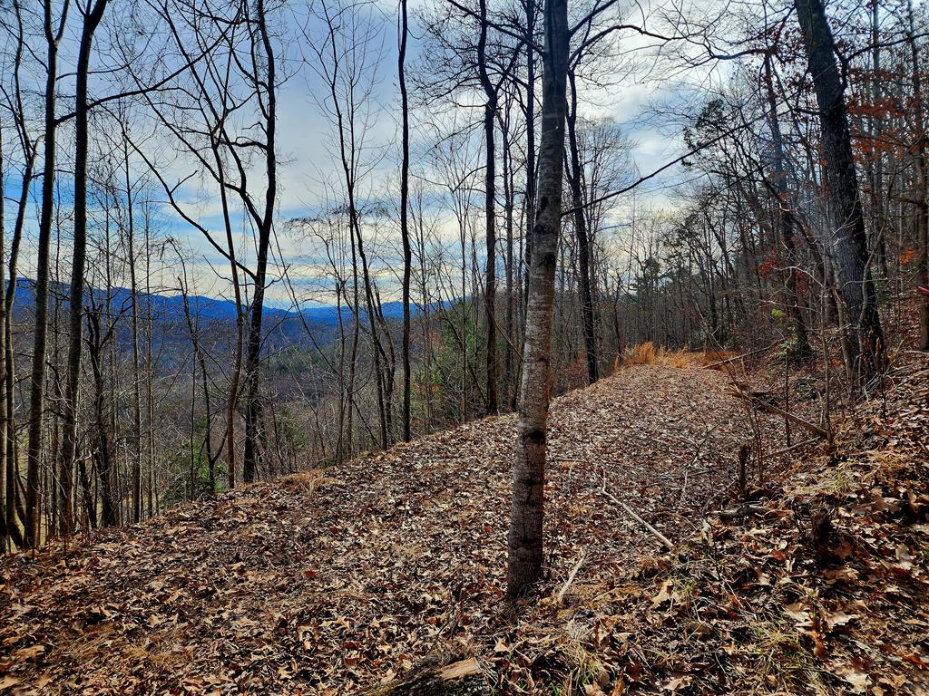00 Buck Mountain Road