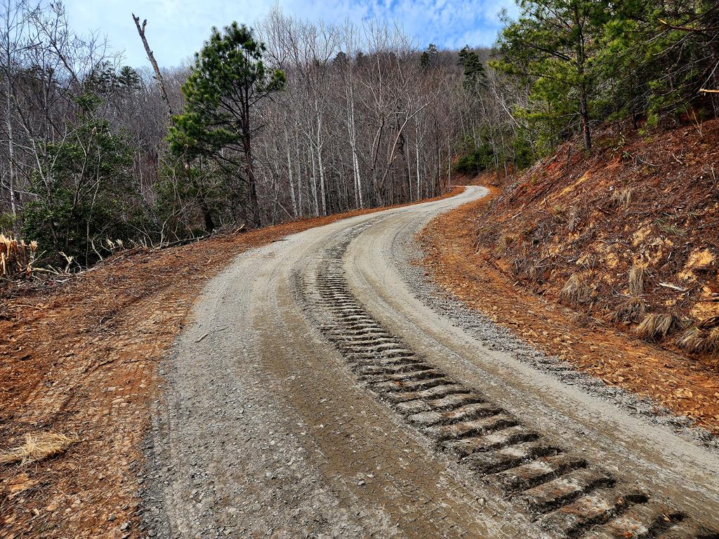 00 Buck Mountain Road