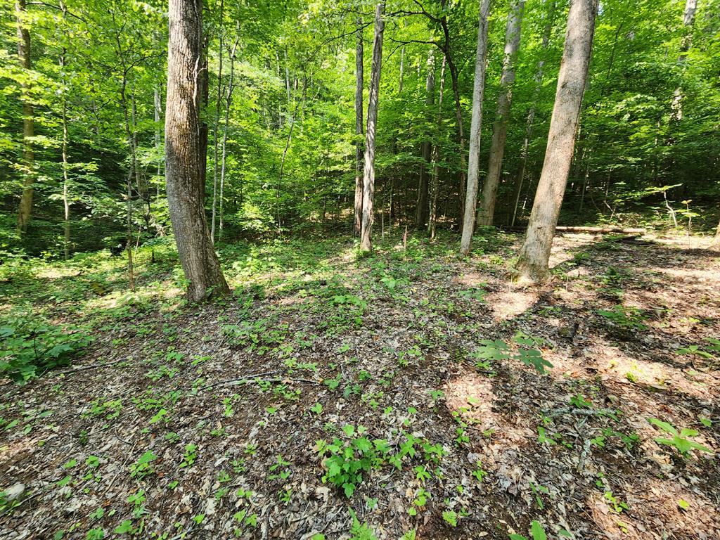 00 Corbin Cove Rd