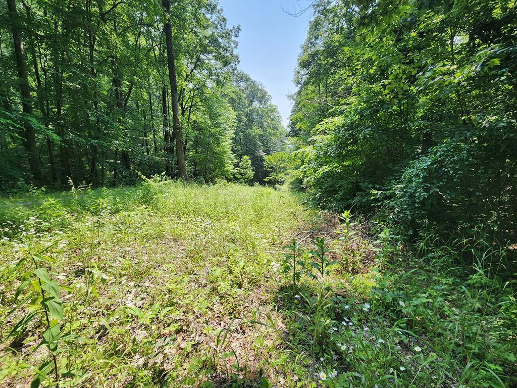 00 Corbin Cove Rd