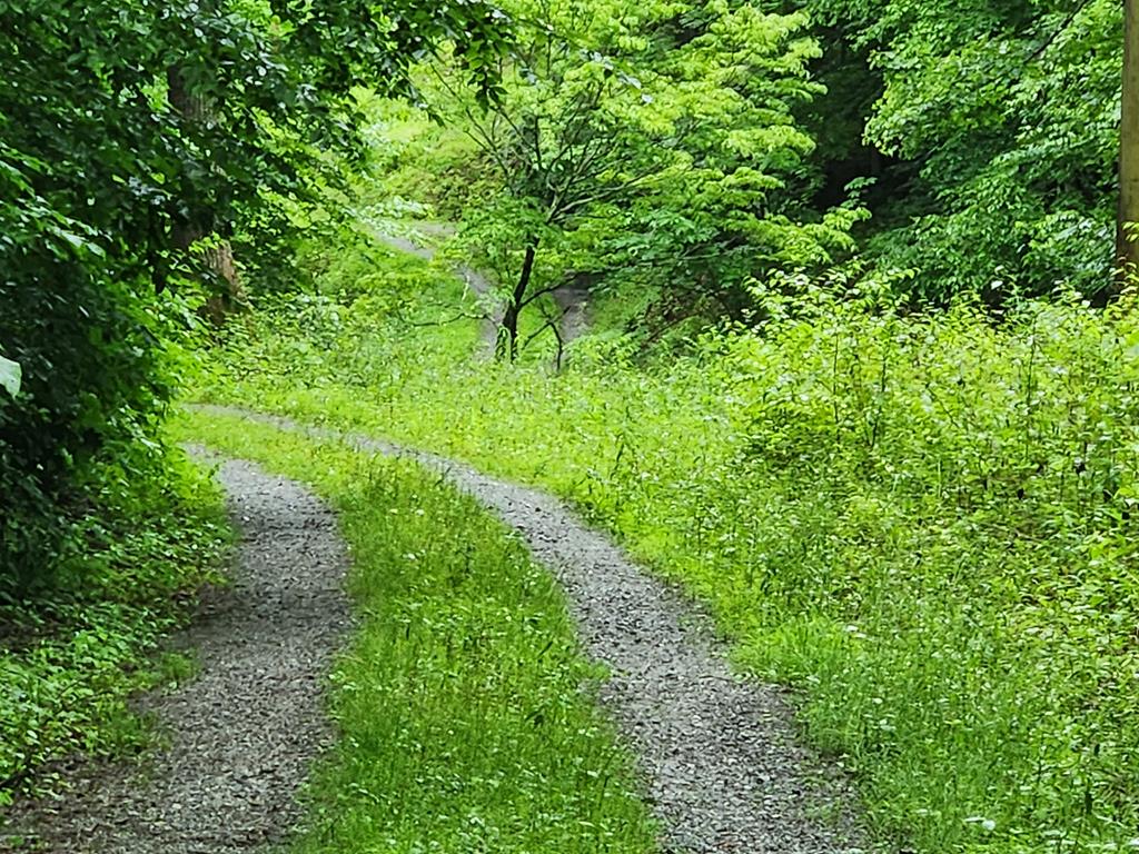 00 Corbin Cove Rd