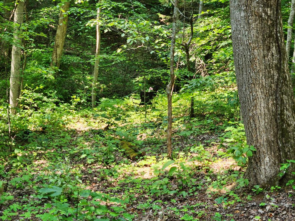 00 Corbin Cove Rd
