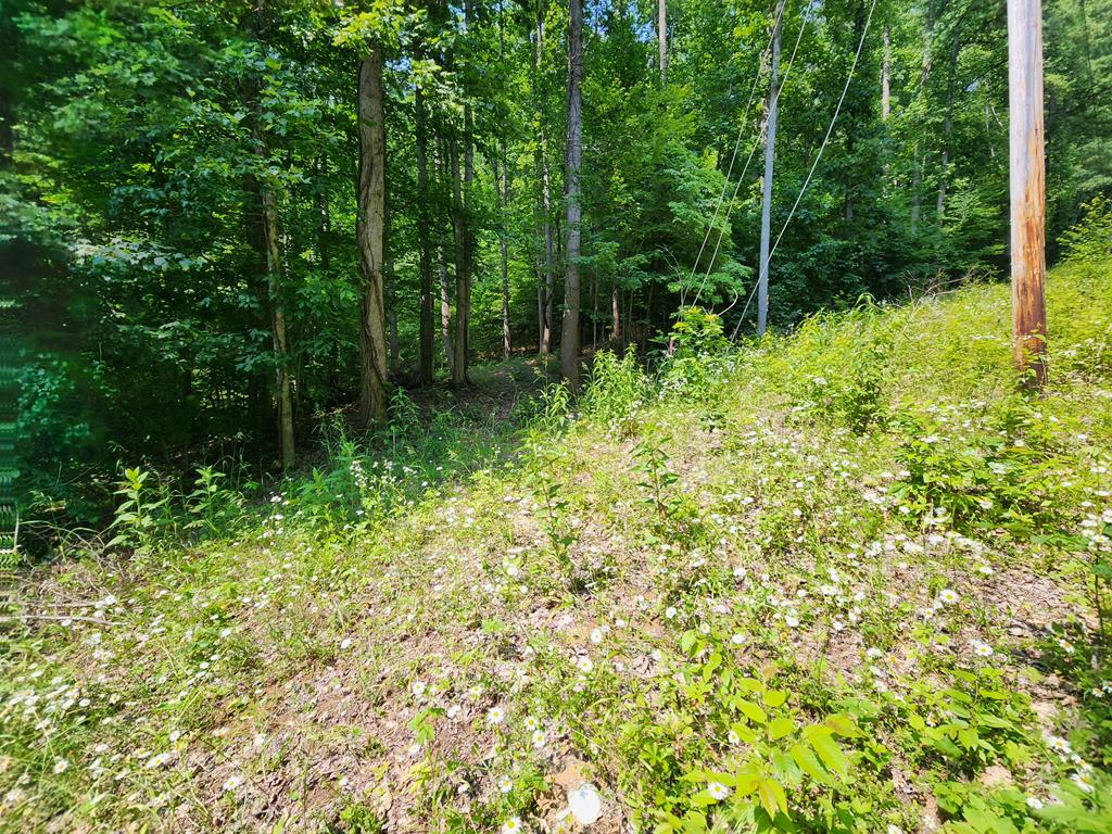 00 Corbin Cove Rd