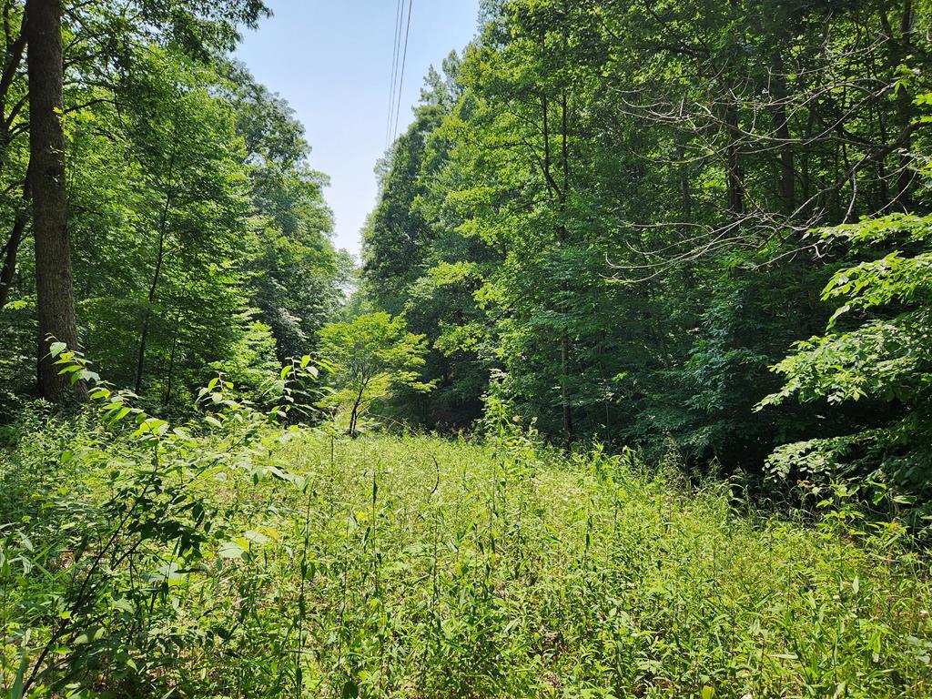 00 Corbin Cove Rd