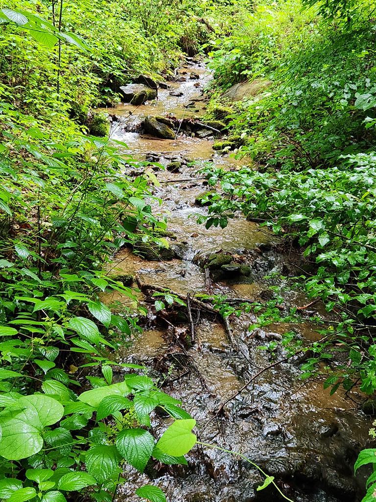 00 Corbin Cove Rd
