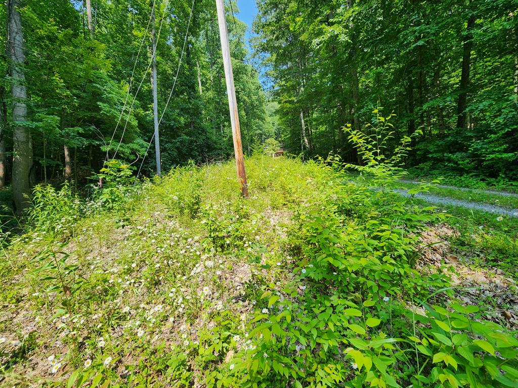 00 Corbin Cove Rd
