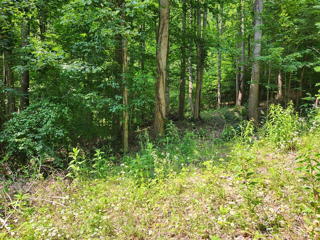 00 Corbin Cove Rd