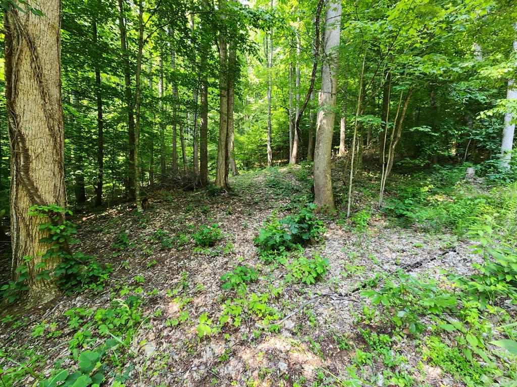 00 Corbin Cove Rd