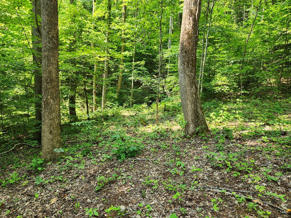 00 Corbin Cove Rd