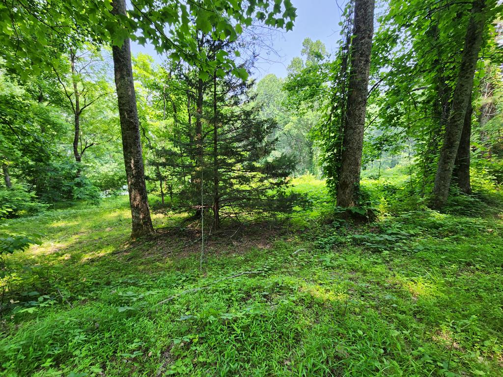 5043 West Old Murphy Rd