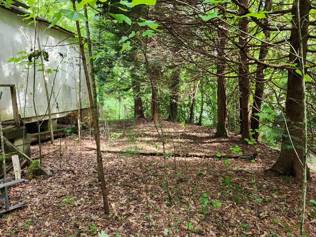 316 Matlock Creek Rd