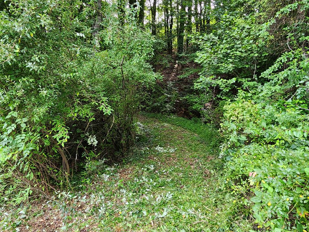 316 Matlock Creek Rd