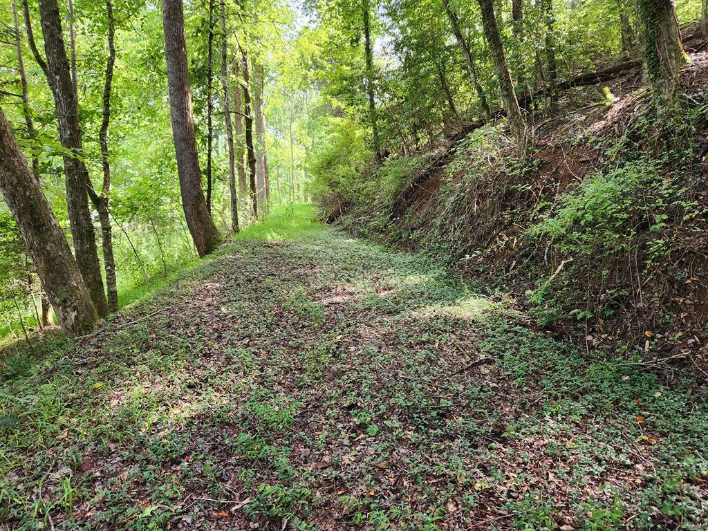 316 Matlock Creek Rd