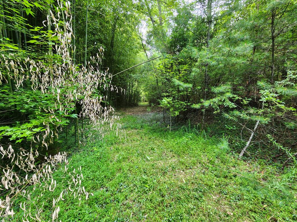 316 Matlock Creek Rd